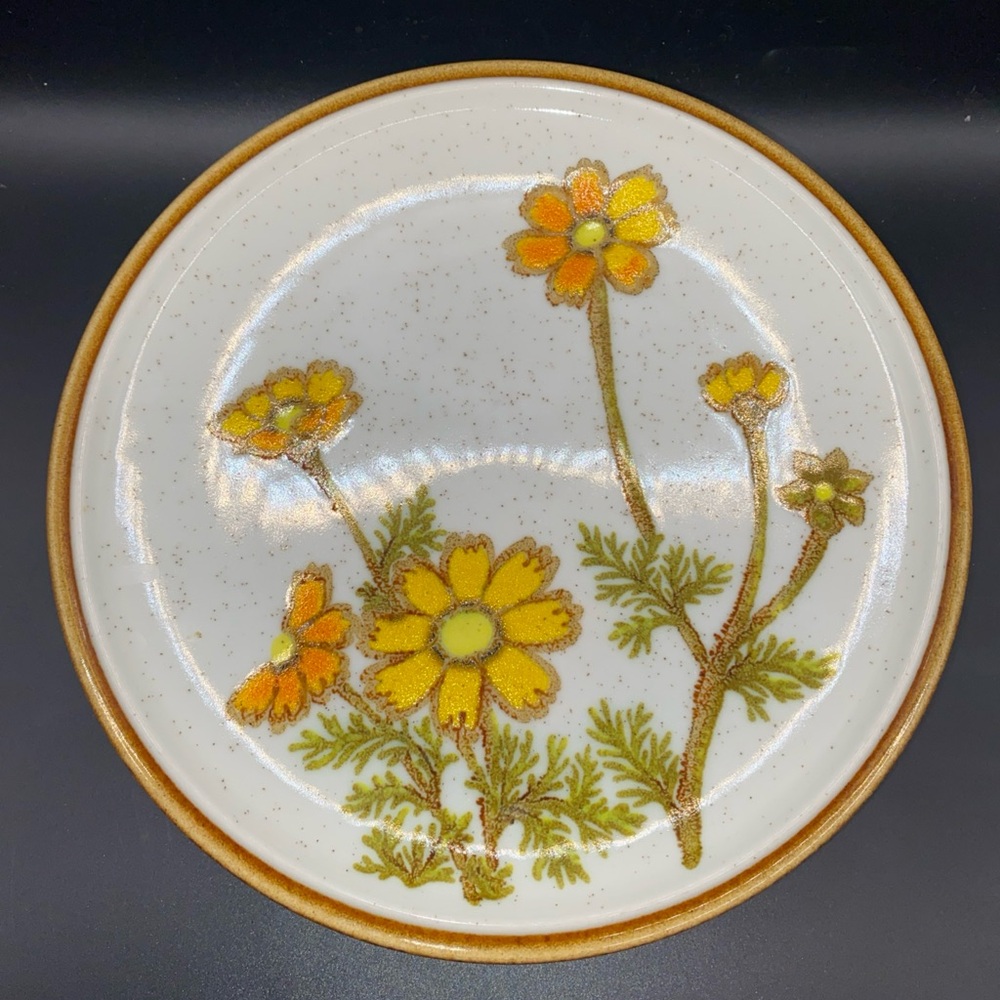 (3) VTG Mikasa Southern Sun Salad  Plates 8” C9006 Natural Beauty Japan EXC!
